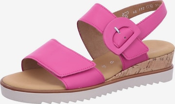 Sandalo 'Sandalette Damen 42.752.52 Echtleder in rot' di Gabor Comfort in rosa: frontale