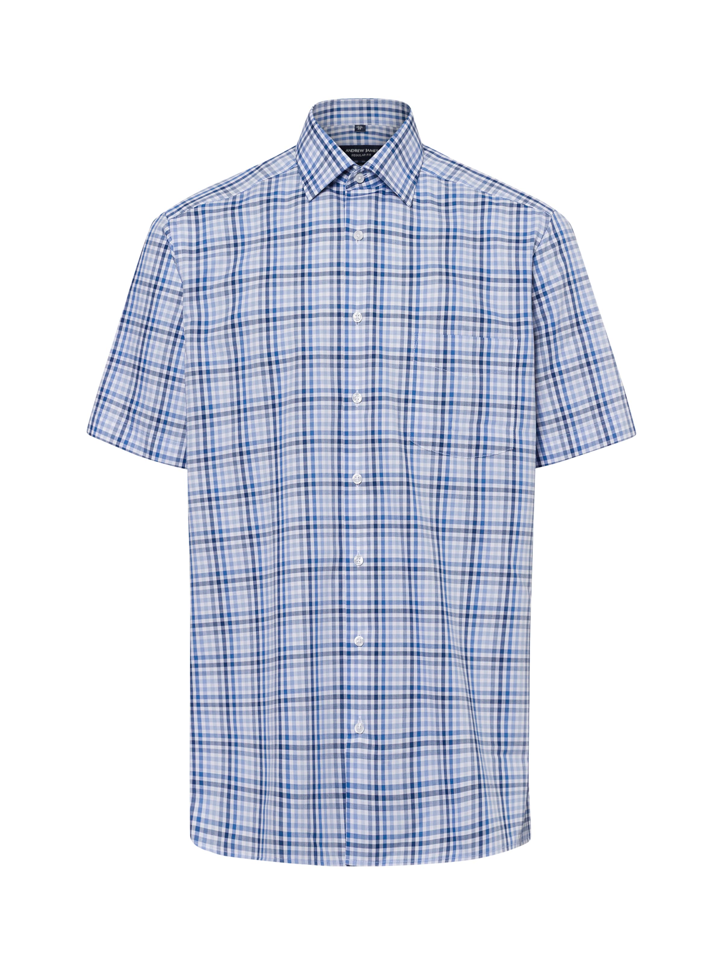 Andrew James Regular Fit Hemd in Blau: Vorderseite