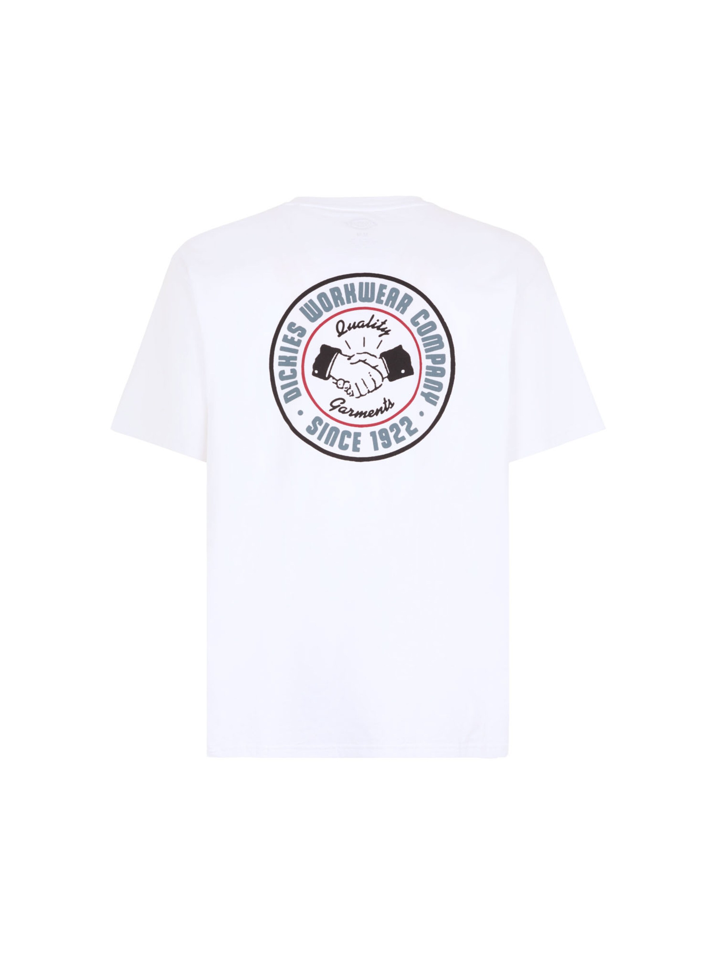 Maglietta di DICKIES in bianco