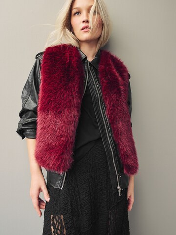 Next Vest in Pink