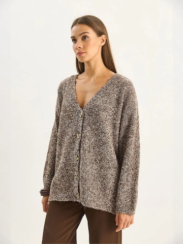 Bianco Lucci Gebreid vest in Bruin