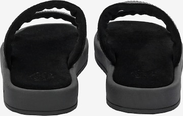 Apple of Eden Strap Sandals 'Clarice' in Black