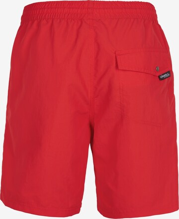 O'NEILL Sportbadeshorts 'Vert' in Rot