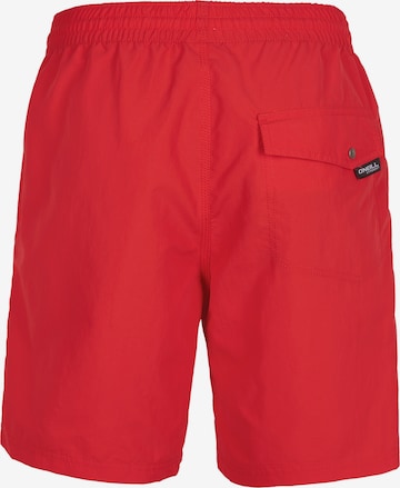 O'NEILL Badeshorts 'Vert' in Rot