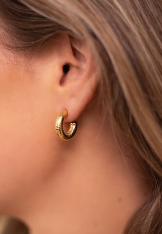 My Jewellery Earrings in Gold