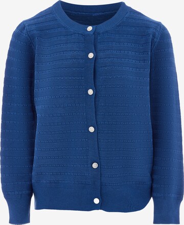 SANIKA Knit Cardigan in Blue: front