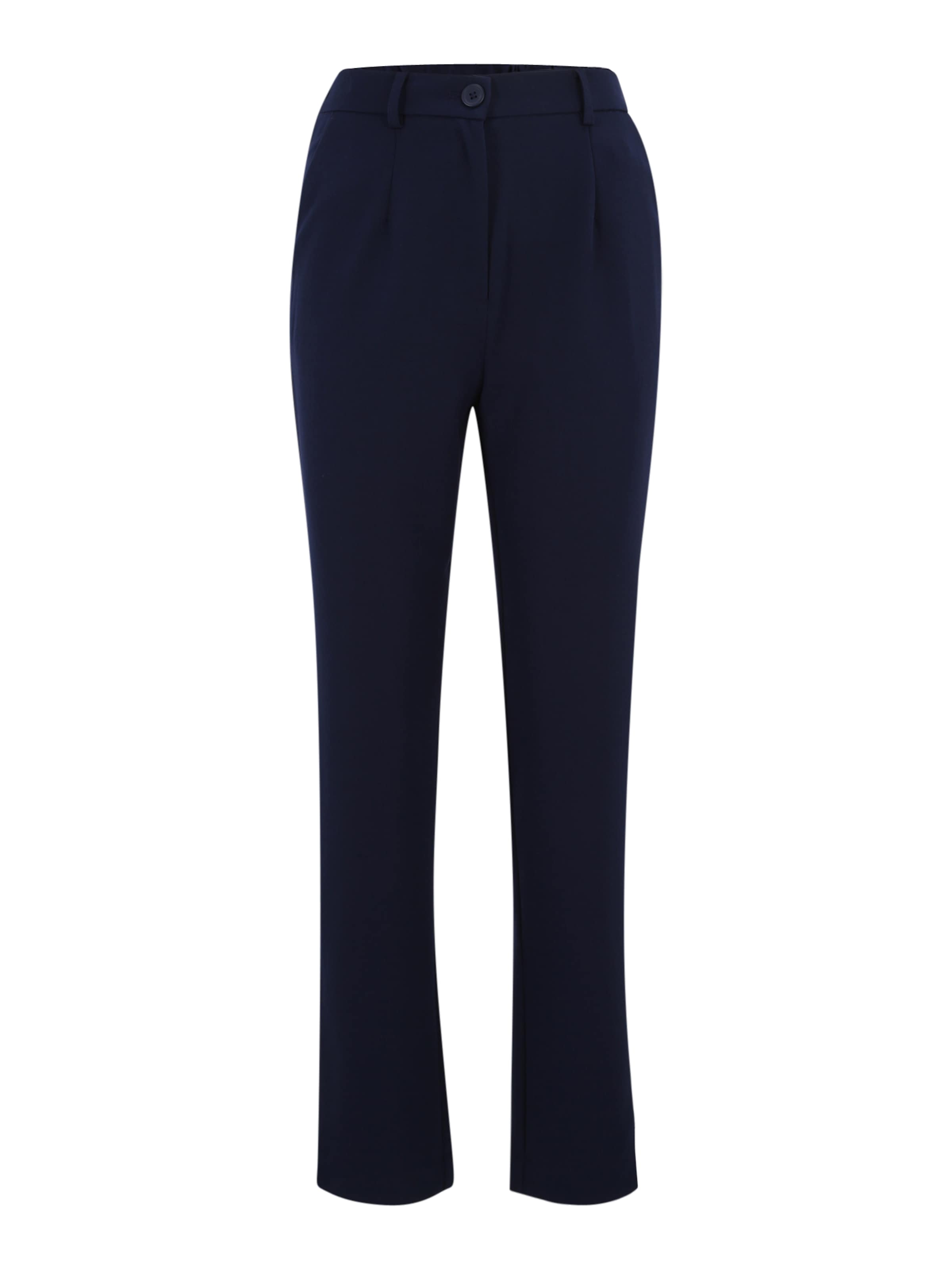 PIECES Обычный Брюки со складками 'PCKAMIL' в Синий: спереди