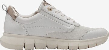 TAMARIS Sneakers in White