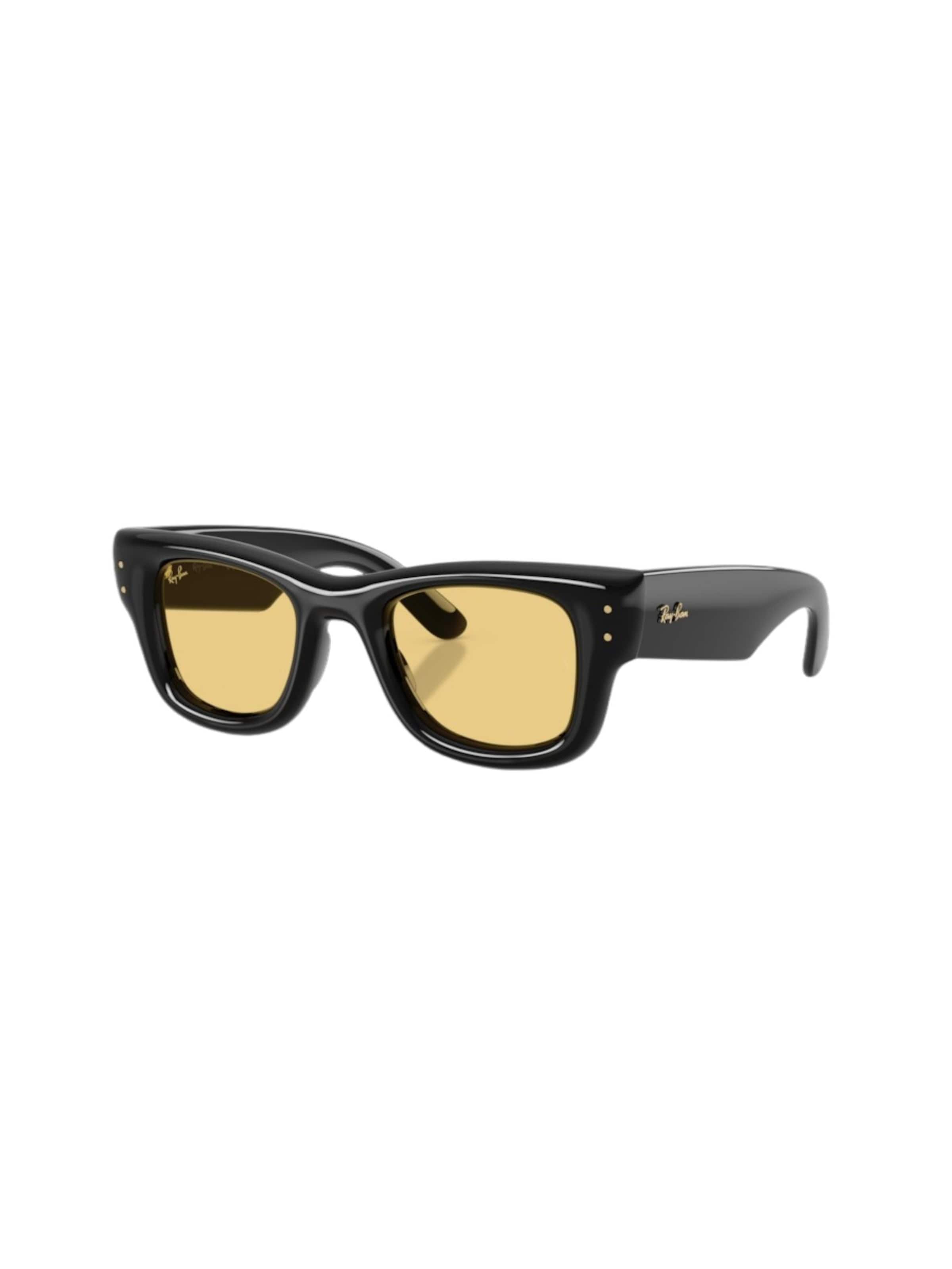 Ray-Ban Sunglasses in Black