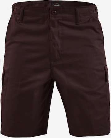 Regular Pantalon fonctionnel 'Dasht' normani en marron : devant