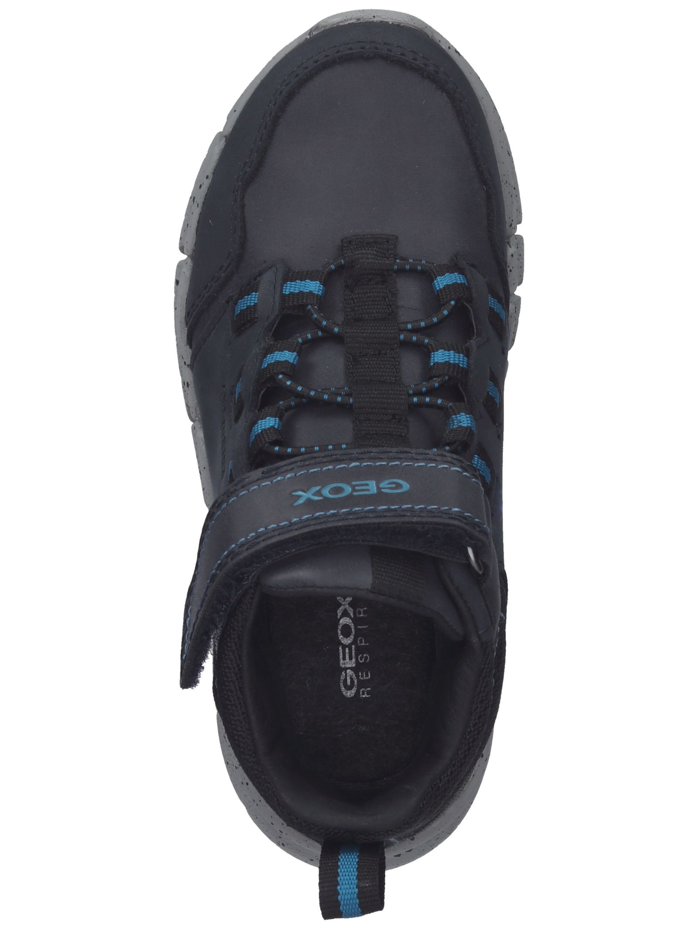 GEOX Sneakers in Blauw