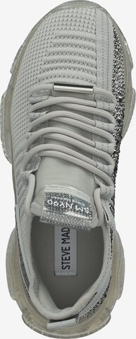 Baskets basses STEVE MADDEN en gris