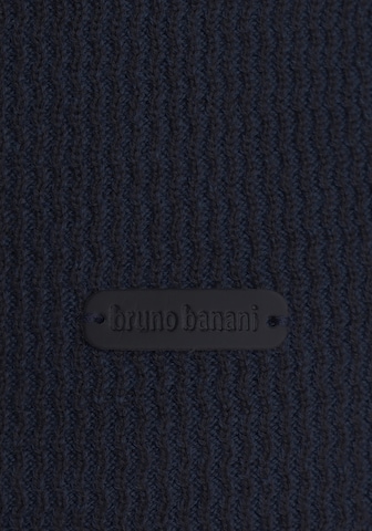 Bruno Banani Pullover in Blau
