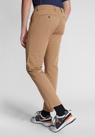 North Sails Slim fit Chino Pants in Brown
