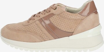 GEOX Sneaker in Pink