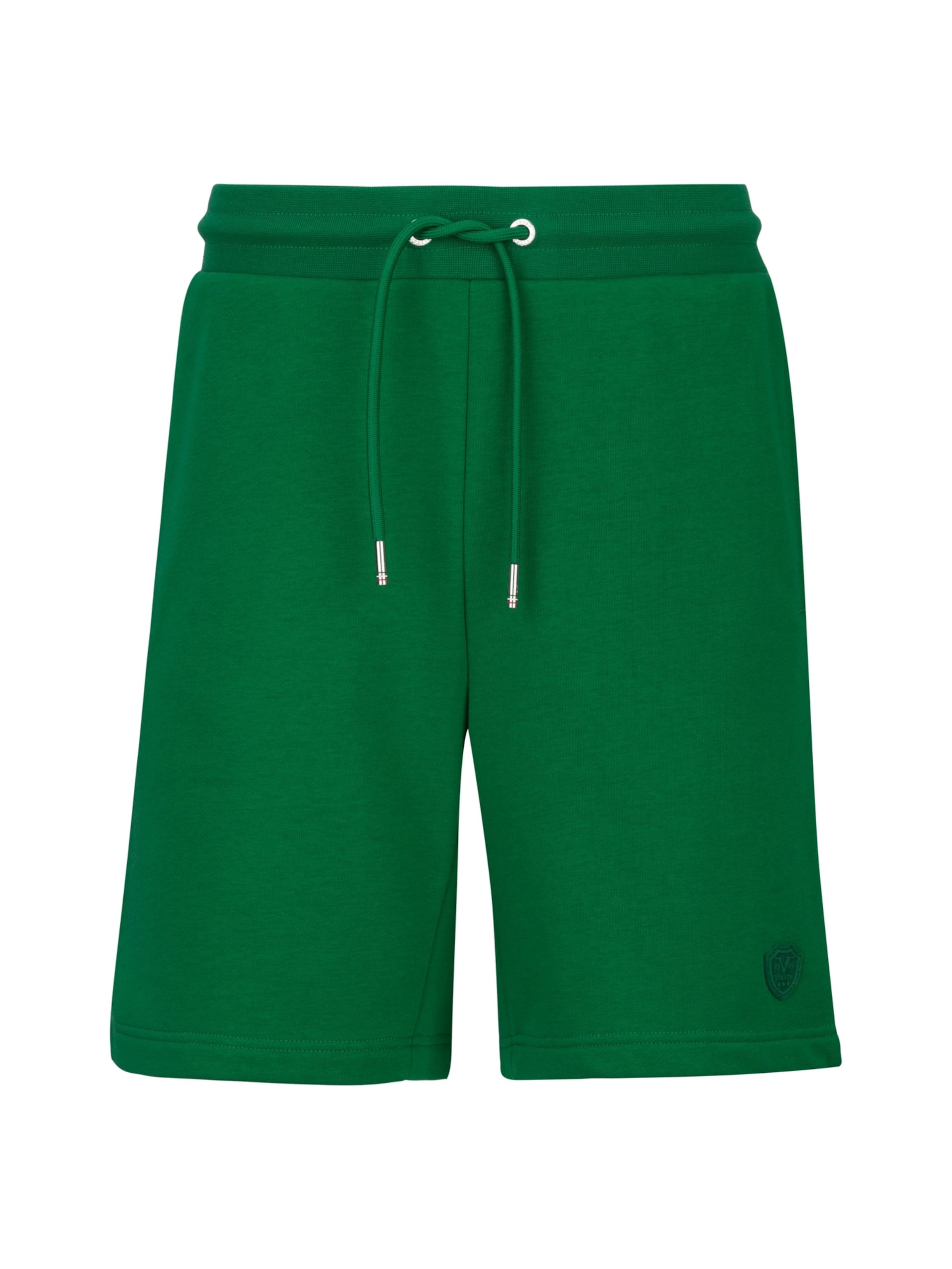 19V69 ITALIA Trousers 'Sergio' in Green: front