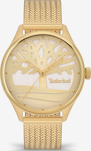 TIMBERLAND Analoog horloge 'LINCOLNDALE' in Goud: voorkant