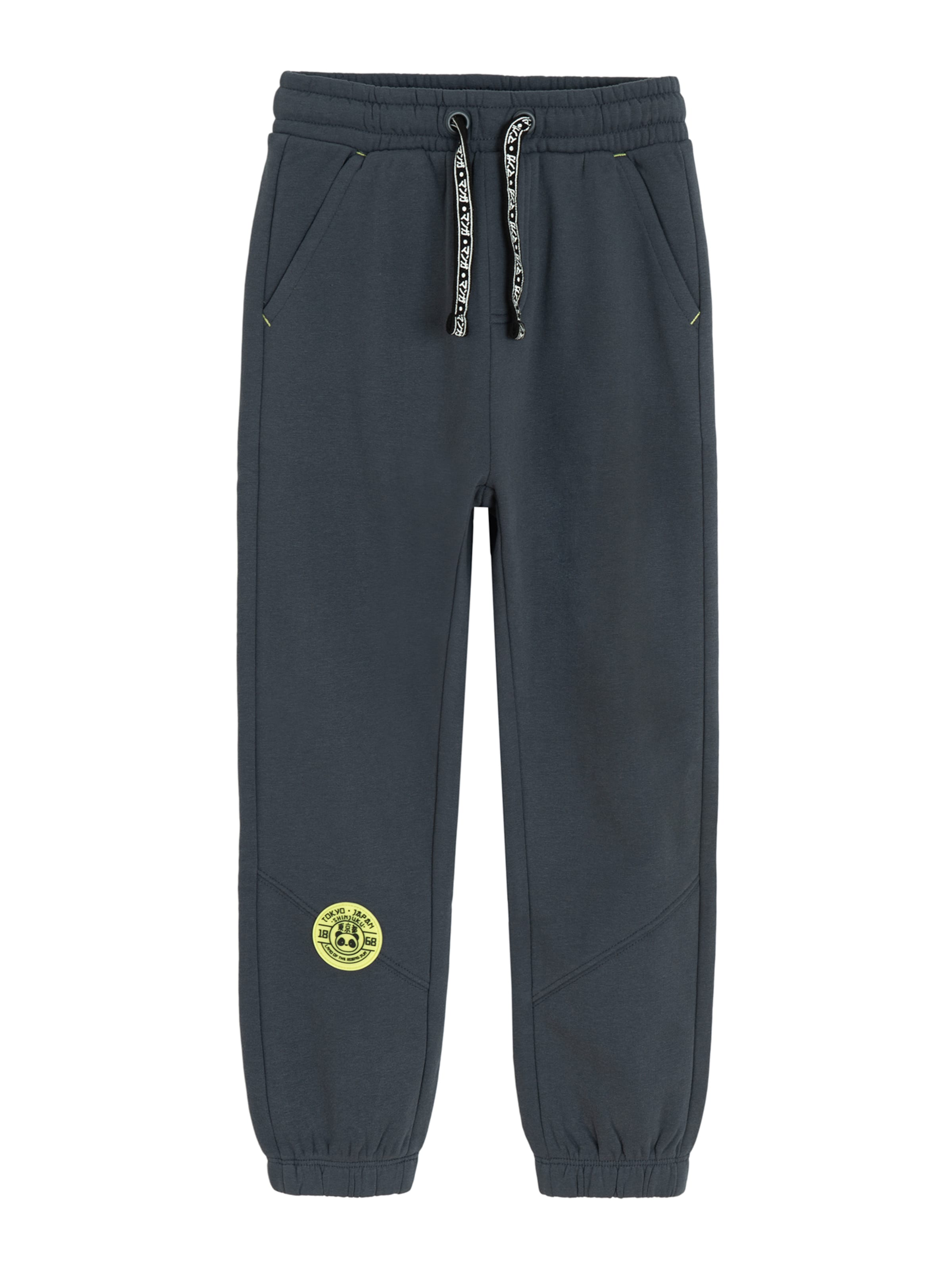 Cool Club Flared Hose in Grau: Vorderseite