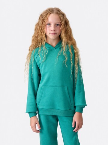 Tommy Life Tracksuit 'Aktive Sets' in Green