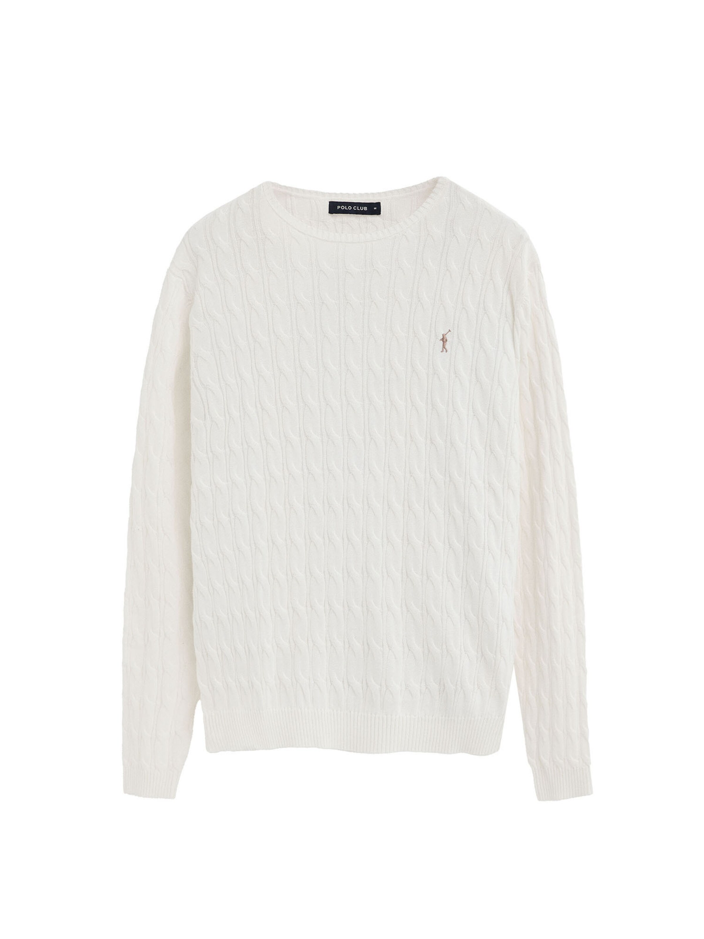 Polo Club Sweater in Mixed colors