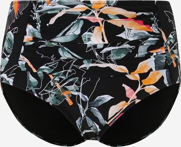 Bas de bikini 'Stella' Swim by Zizzi en noir : devant