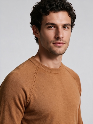 Pullover di Antioch in marrone