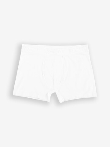 Prosto Boxer shorts in Mixed colors