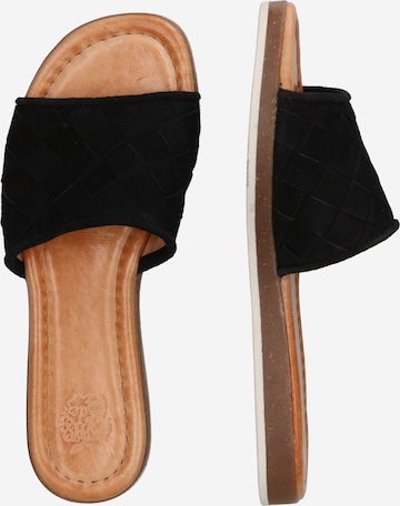 Apple of Eden Mules 'Holand' in Black