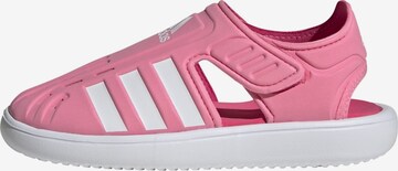 ADIDAS SPORTSWEAR Beach & Pool Shoes in Pink: front