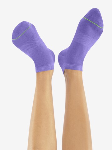 CHEERIO* Ankle socks 'Sneaker Pal' in Mixed colours: front