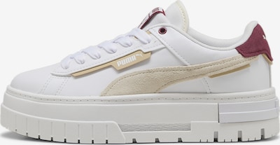 PUMA Baskets basses 'Mayze' en beige / bordeaux / blanc, Vue avec produit