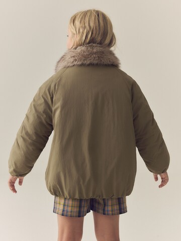 Next Winterjas in Groen