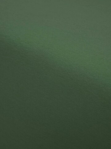 ESSENZA Bed Sheet in Green