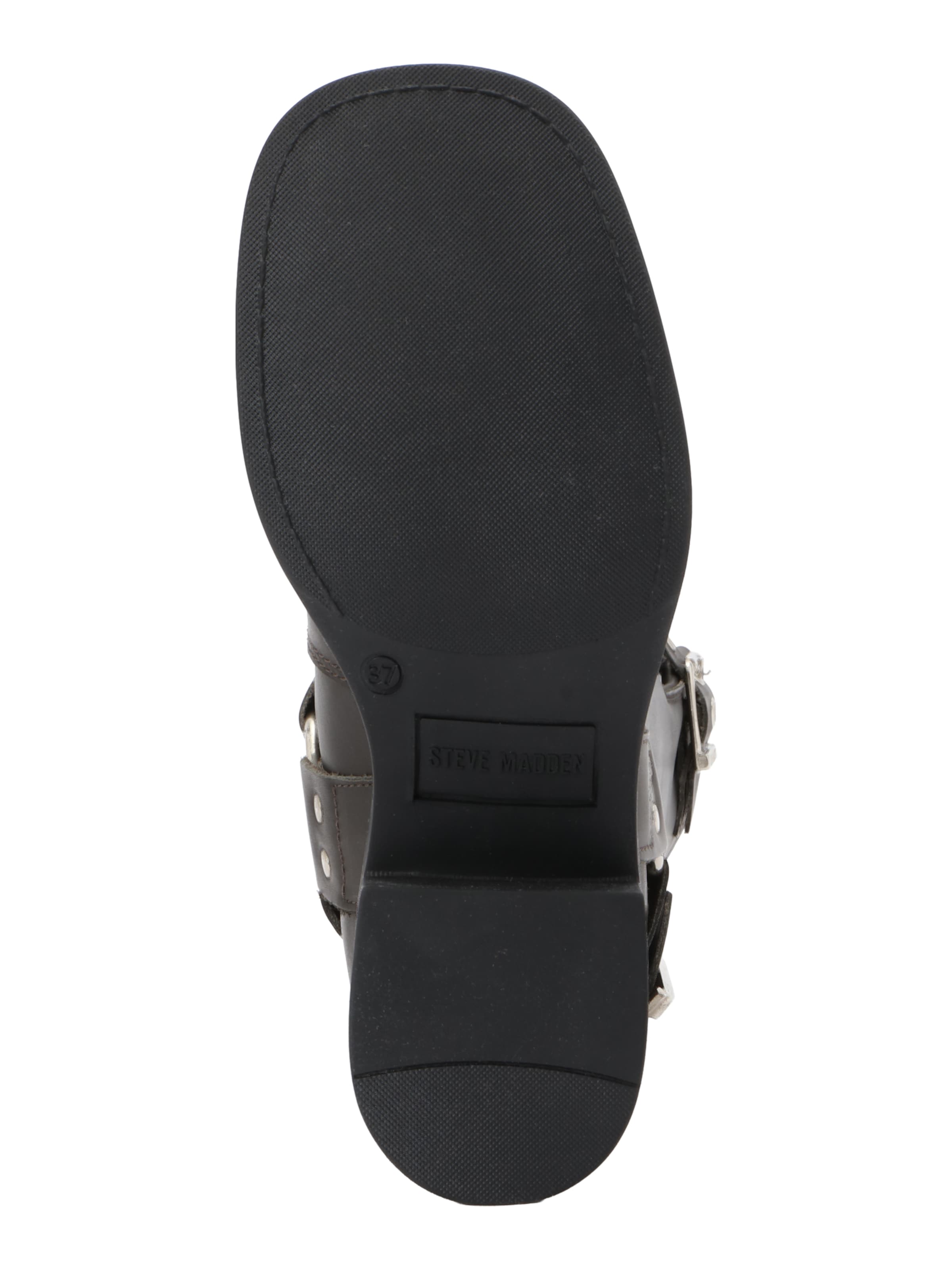STEVE MADDEN Škornji 'Beau' | siva barva