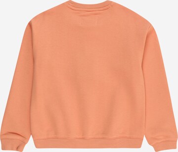 Champion Authentic Athletic Apparel Sweatshirt i orange