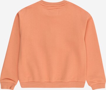 Champion Authentic Athletic Apparel Sweatshirt in Orange