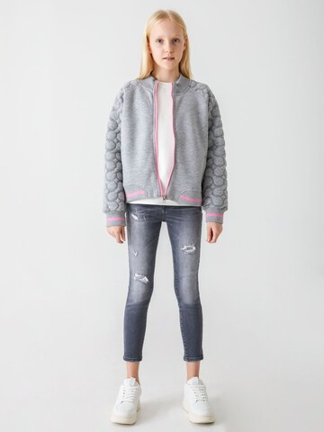 LTB Slimfit Jeans 'Lonia' in Grijs