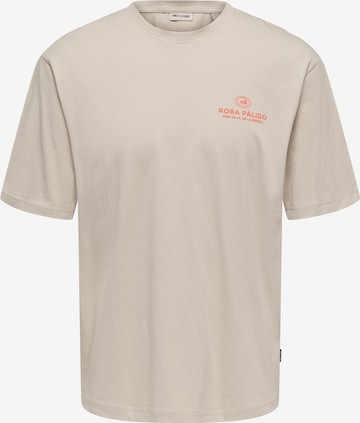 Only & Sons Bluser & t-shirts 'ONSFRANK' i grå: forside