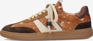 Baskets basses 'SKYE ' Haboob en marron : devant