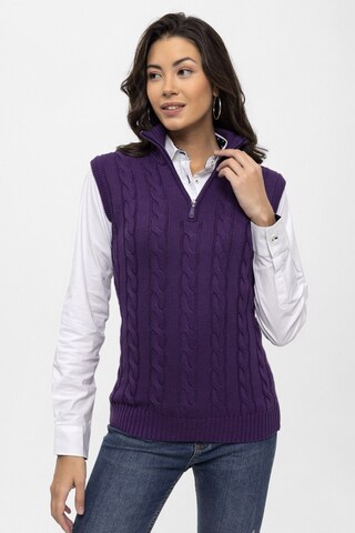 Pull-over Felix Hardy en violet : devant