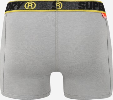 Superdry Boxershorts in Grau