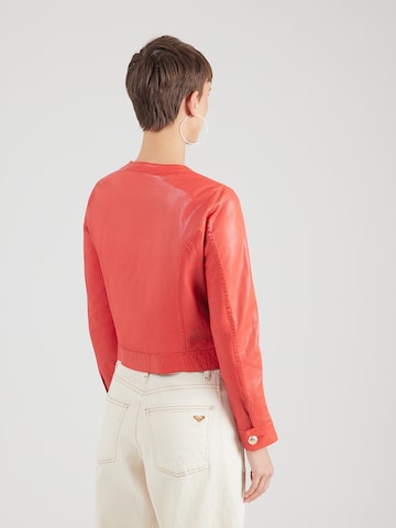 sarkans OAKWOOD Starpsezonu jaka 'SUSAN'