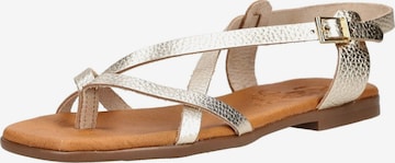 Oh! My Sandals T-bar sandals in Gold: front