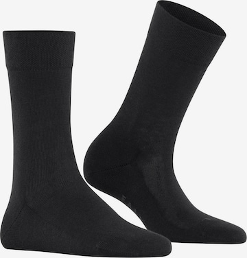 FALKE Socks in Black