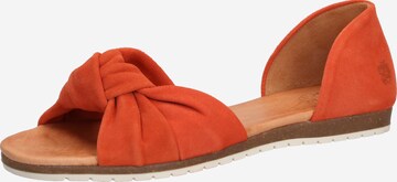 Apple of Eden Sandal 'Chelsea' in Orange: front