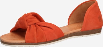 Sandalo 'Chelsea' di Apple of Eden in arancione: frontale