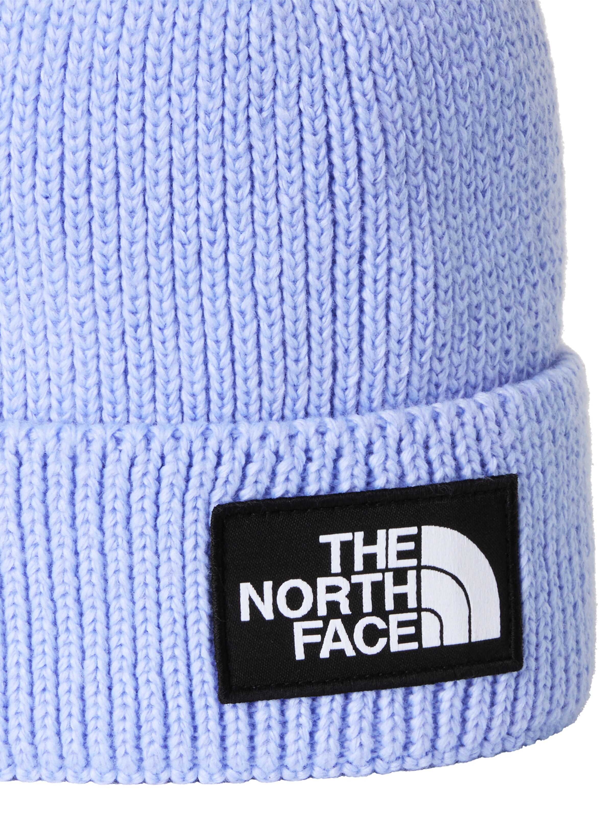 mėlyna THE NORTH FACE Megzta kepurė