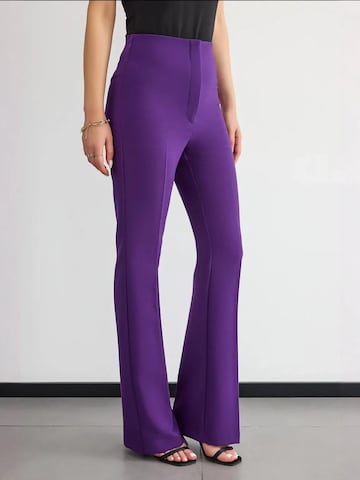 Hiccup Regular Broek in Lila