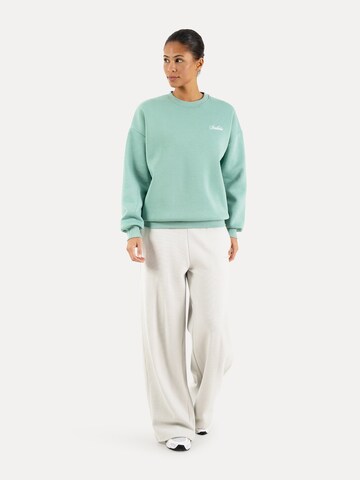Smilodox Sweatshirt in Groen