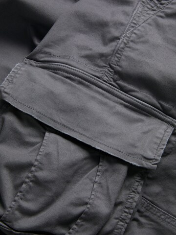JACK & JONES Обычный Брюки-карго 'JPSTCOLE SEBASTIAN' в Серый